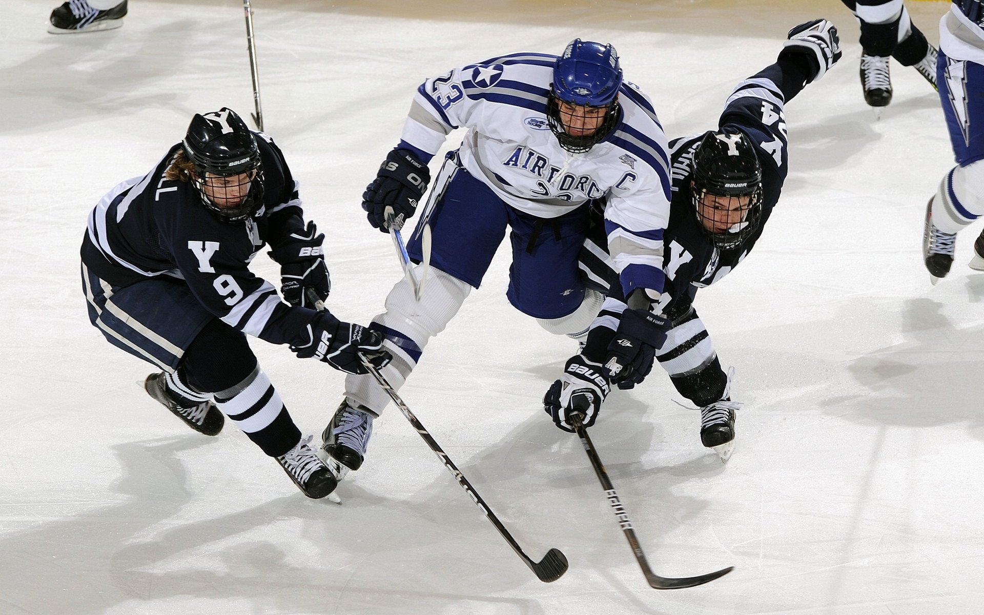 当荷兰橙色风暴席卷NBA赛场，从阿姆斯特丹到迈阿密的翻盘启示录